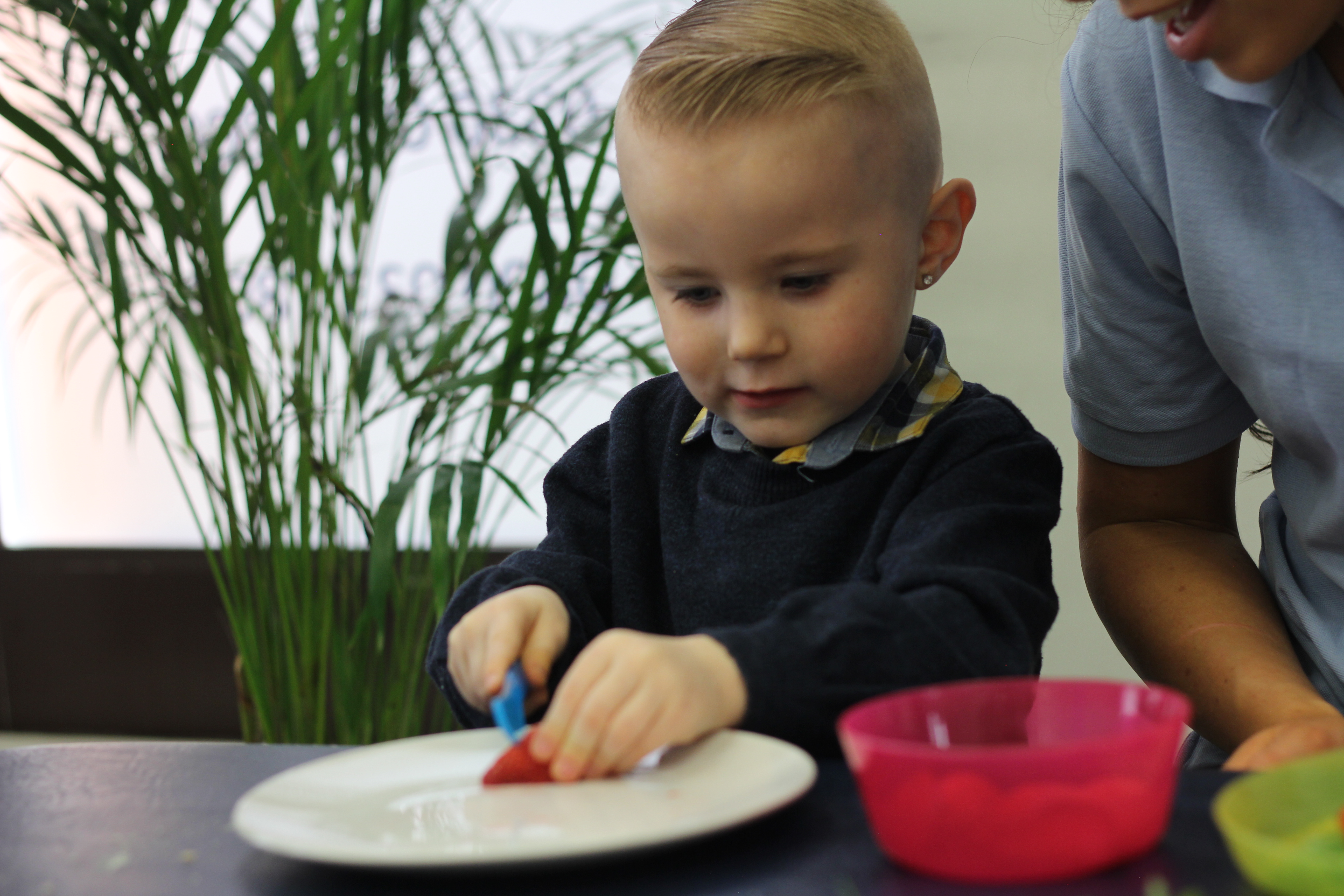 Cutting strawberry with plastic knife